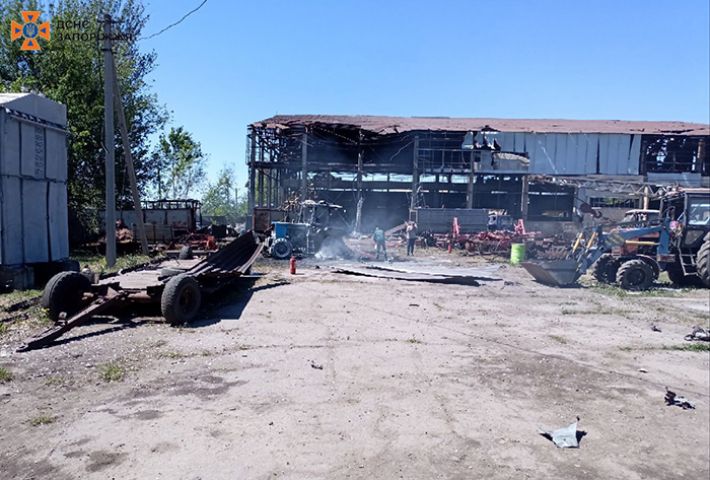 В Запорожье ликвидировали возгорание гаража с автомобилем (фото)