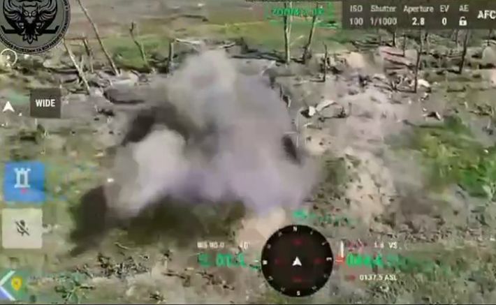 На Запорожском направлении операторы дронов атаковали штурмовые группы окупантов, которые пытались зайти в "серую зону" (видео)